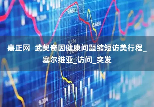 嘉正网  武契奇因健康问题缩短访美行程_塞尔维亚_访问_突发