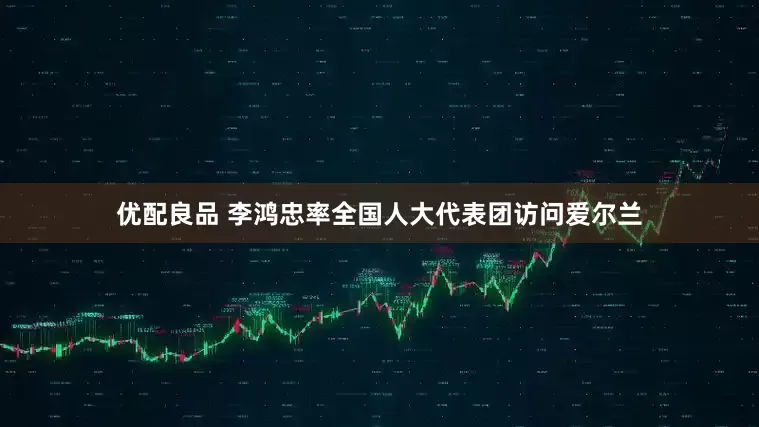 优配良品 李鸿忠率全国人大代表团访问爱尔兰