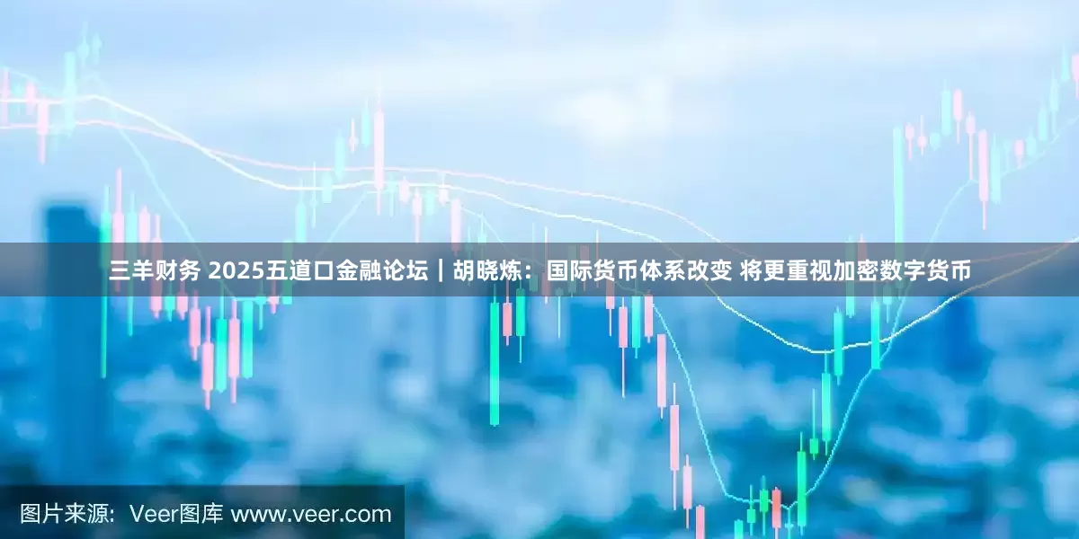 三羊财务 2025五道口金融论坛｜胡晓炼：国际货币体系改变 将更重视加密数字货币