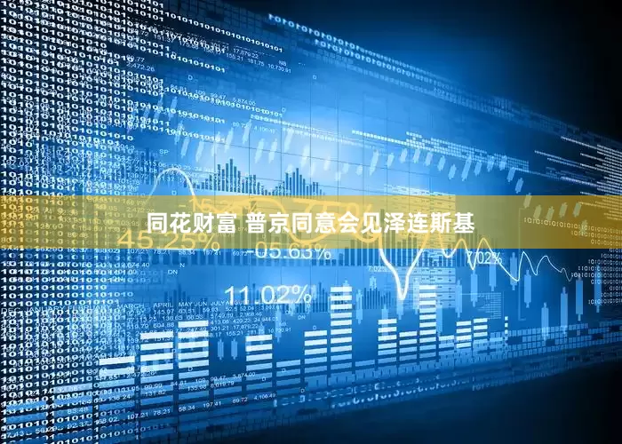 同花财富 普京同意会见泽连斯基