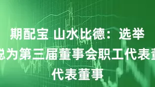 期配宝 山水比德：选举王聪为第三届董事会职工代表董事